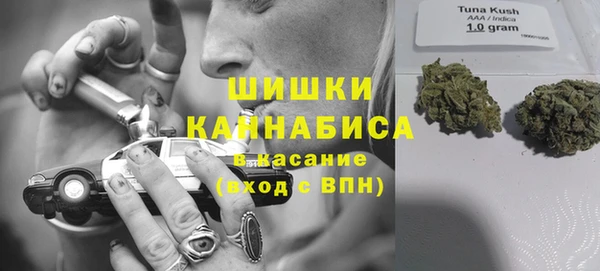 стаф Вяземский