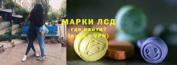 ГАЛЛЮЦИНОГЕННЫЕ ГРИБЫ Вязьма