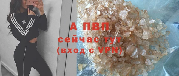 ГАЛЛЮЦИНОГЕННЫЕ ГРИБЫ Вязьма