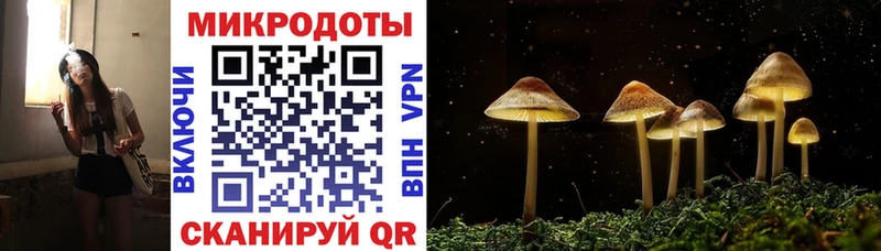 Купить закладки  Порхов  Галлюциногенные грибы Psilocybine cubensis 