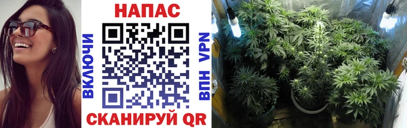 Купить где  Порхов  Бошки Шишки MAZAR 
